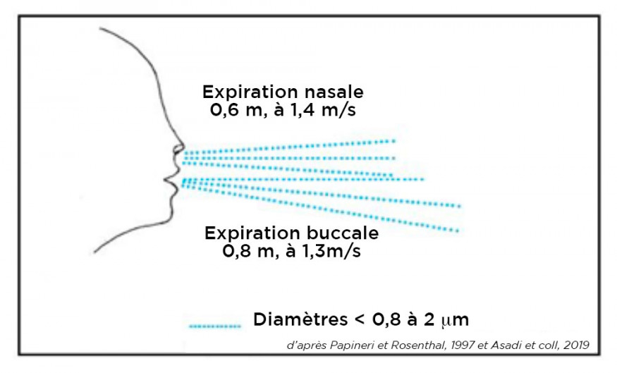 1. Gouttelettes exhalées par l’expiration nasale ou buccale.