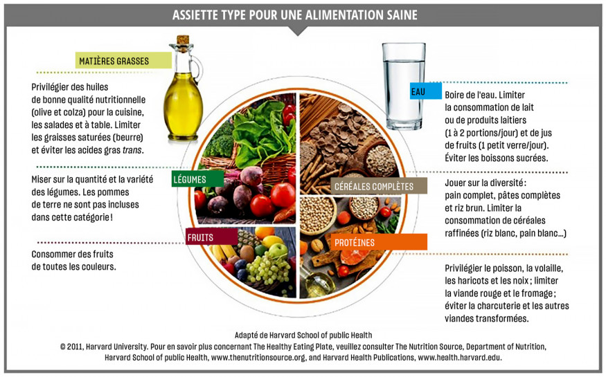 Nutrition, équilibre alimentaire et prévention santé – M comme