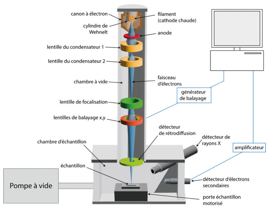 Principe du microscope électronique