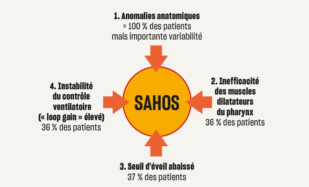 Le syndrome d’apnées-hypopnées obstructives du sommeil (SAHOS ...